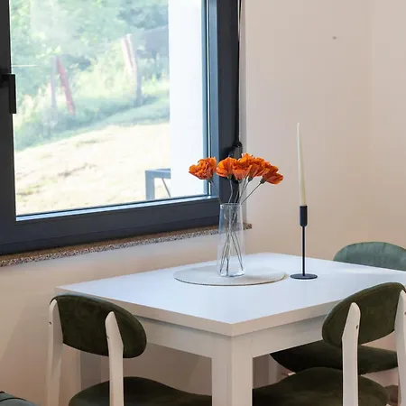 Uba Fruska Gora 公寓